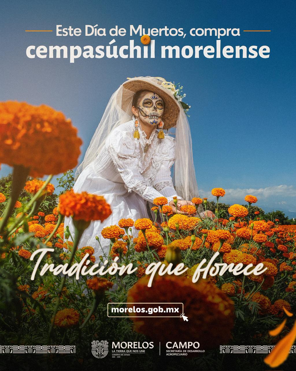 CELEBRA GOBIERNO DE MORELOS TEMPORADA DEL CEMPASÚCHIL, FLOR QUE DA VIDA A LAS TRADICIONES CELEBRA GOBIERNO DE MORELOS TEMPORADA DEL CEMPASÚCHIL, FLOR QUE DA VIDA A LAS TRADICIONES
