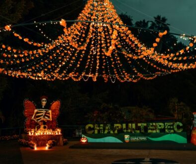 Imagen de WhatsApp 2025-10-29 a las 11.56.31_60c04844 Imagen de WhatsApp 2025-10-29 a las 11.56.31_60c04844