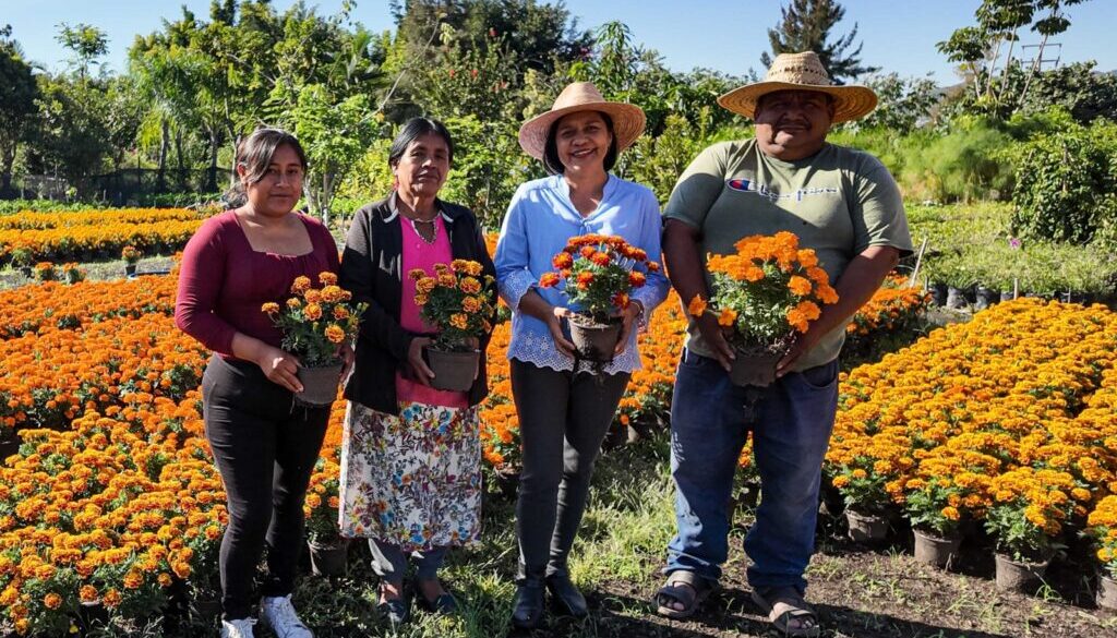 Imagen de WhatsApp 2025-10-30 a las 09.41.14_3518bd66 Imagen de WhatsApp 2025-10-30 a las 09.41.14_3518bd66