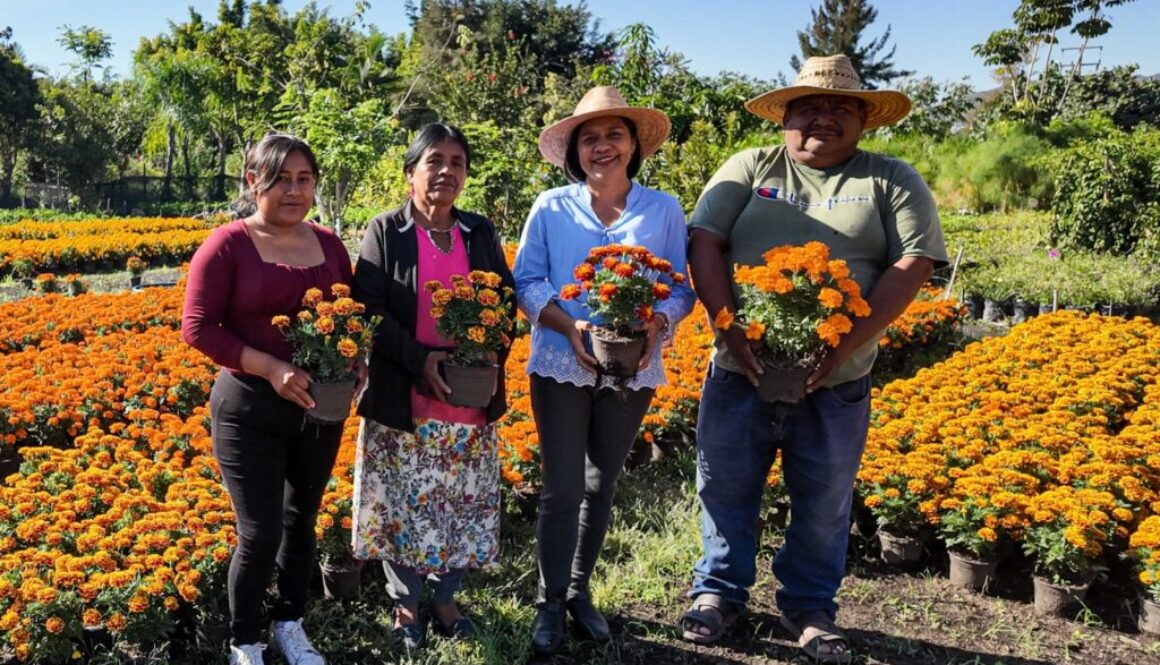 Imagen de WhatsApp 2025-10-30 a las 09.41.14_3518bd66