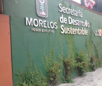 Imagen de WhatsApp 2025-10-30 a las 12.15.14_f1164187 Imagen de WhatsApp 2025-10-30 a las 12.15.14_f1164187