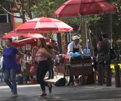 ambulantes-1