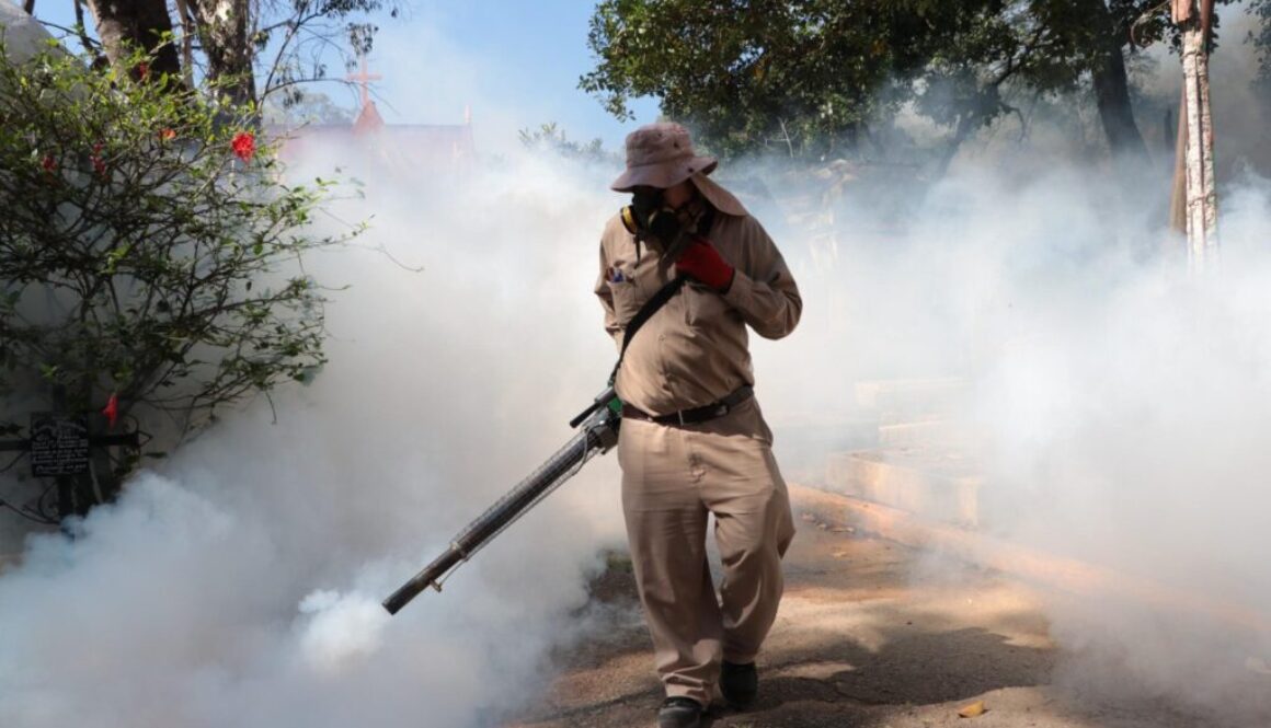 d11a01cd-58ed-4d34-b428-b94d26533c69