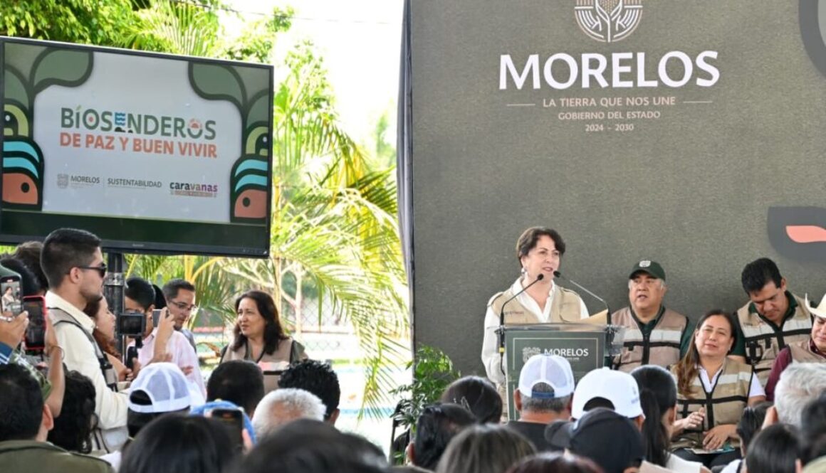 eeb6c7d1-9279-4472-b9b5-5bc7ae9bcf07