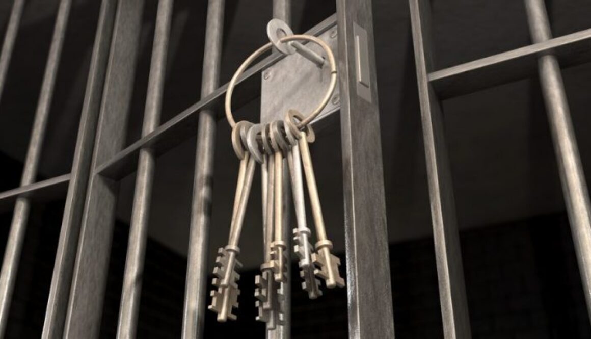 impunidad-1-e1547852407648