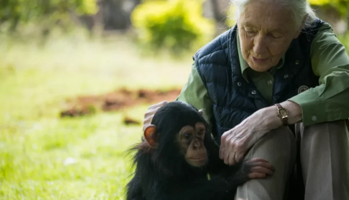 jane-goodall (1)