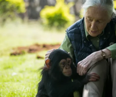 jane-goodall (1)