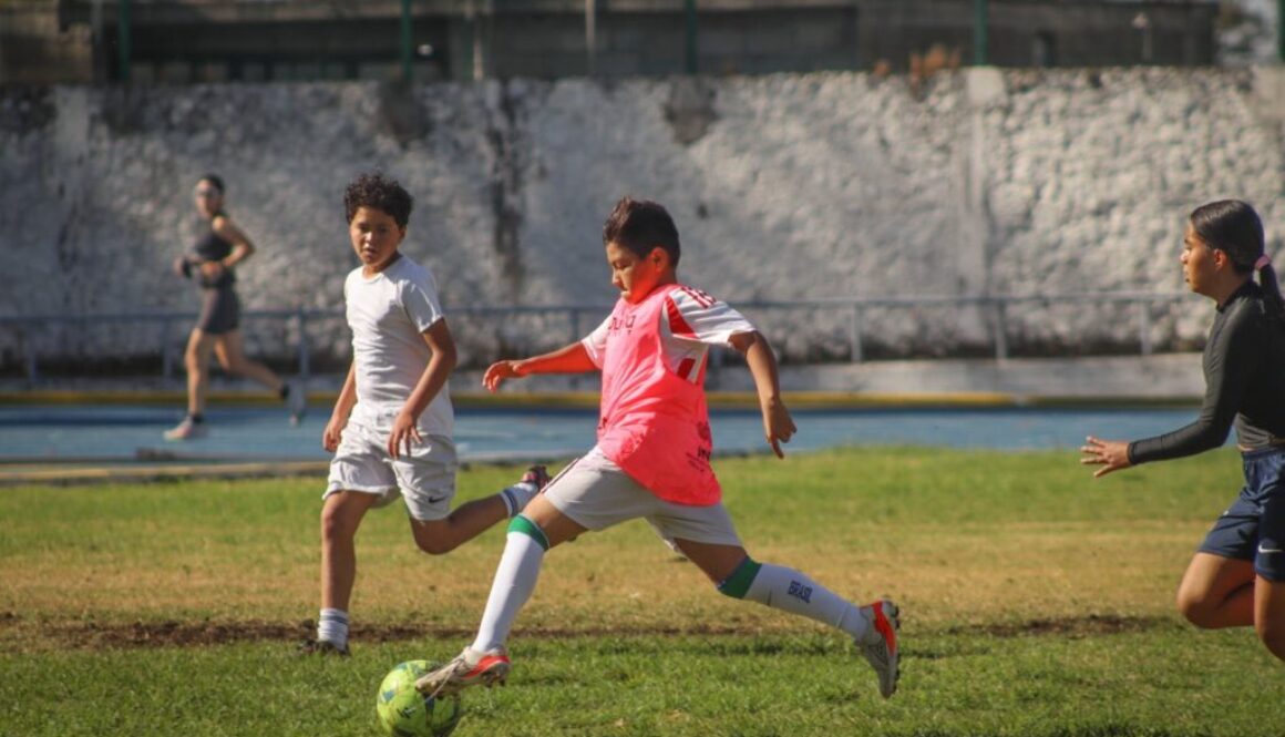 2b2afeaa-5899-46ee-8ed6-29b41ae85725