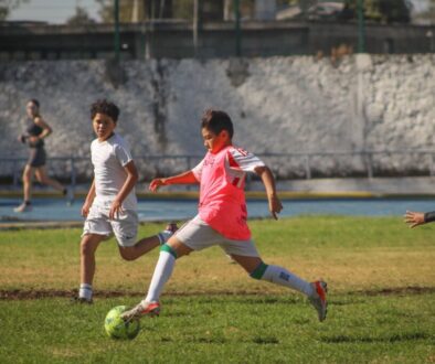 2b2afeaa-5899-46ee-8ed6-29b41ae85725