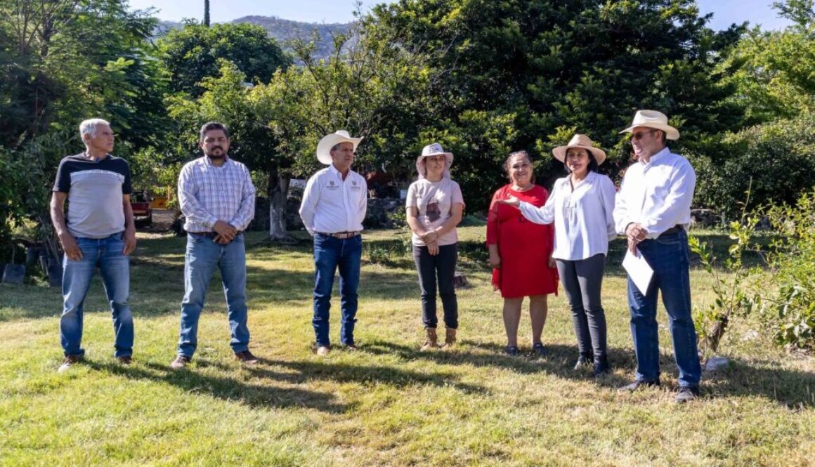 3366fe29-0f9b-44f5-aab6-490a8c3ef317