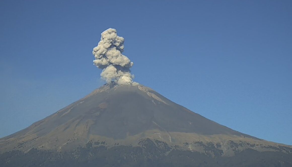 33b18e96-aeca-4d8d-b060-b16b8ecef258