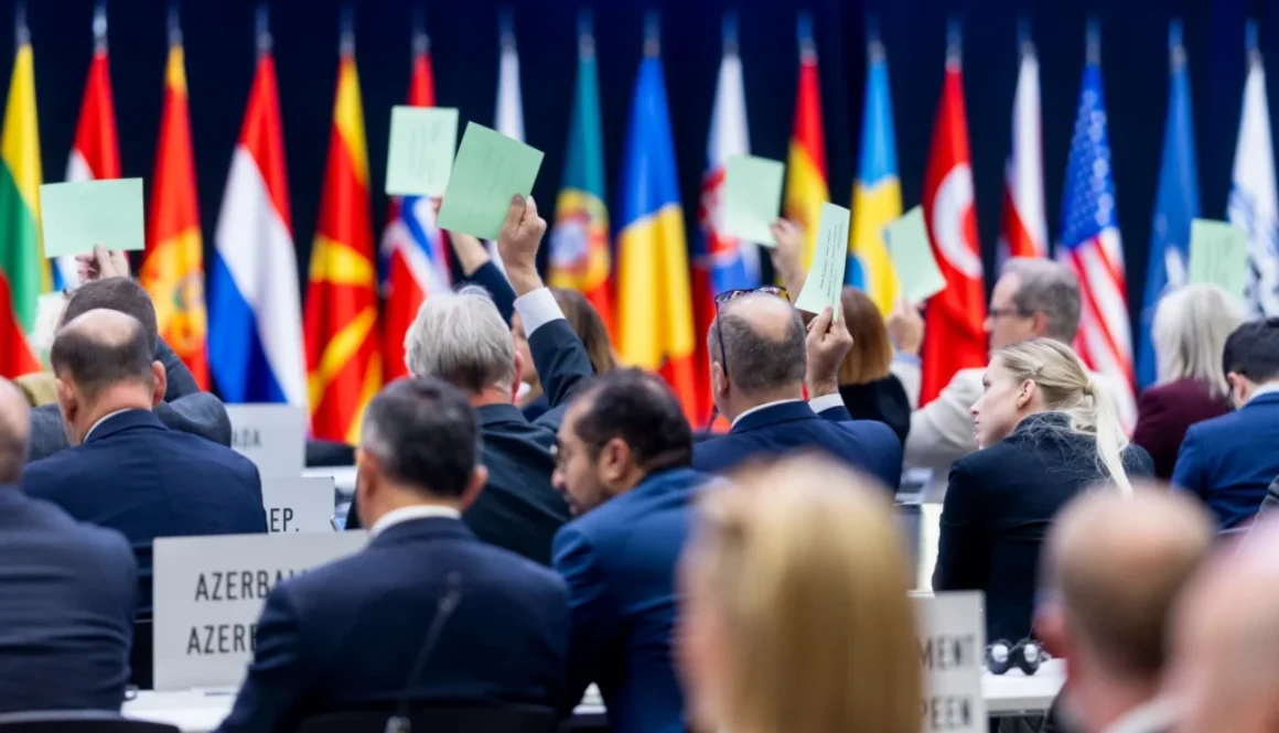 54856548480_caed072c09_o