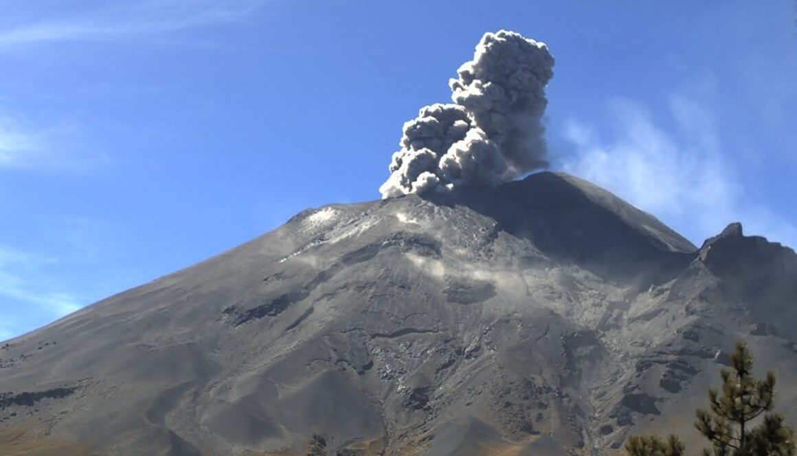 550f2236-4e15-4eac-aa91-a5044b58196c