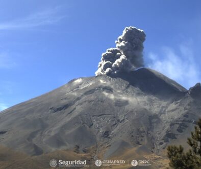 550f2236-4e15-4eac-aa91-a5044b58196c