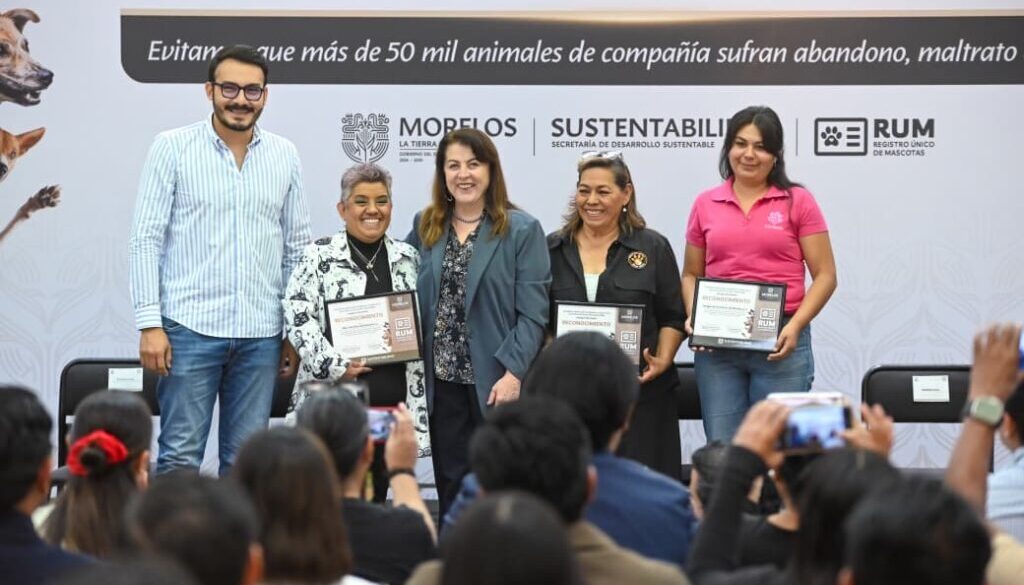 594e911f-cfc5-4b24-b709-6b16745c6a5f