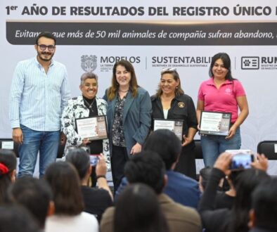 594e911f-cfc5-4b24-b709-6b16745c6a5f