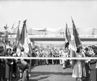 729b555c-e855-4169-a19f-7cc936ed9fed