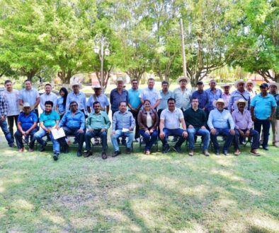 7455311f-cc06-4d28-aaed-4c574693e10a