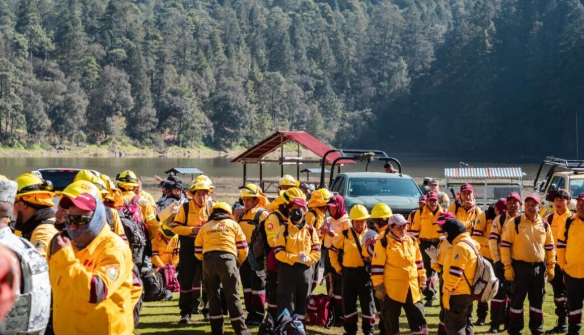 9bf59f9c-74d7-40ae-beed-be339c4f1f14