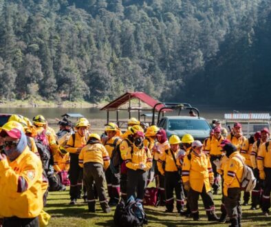 9bf59f9c-74d7-40ae-beed-be339c4f1f14