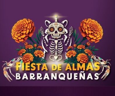 Imagen de WhatsApp 2025-11-01 a las 10.00.17_da3f8b12