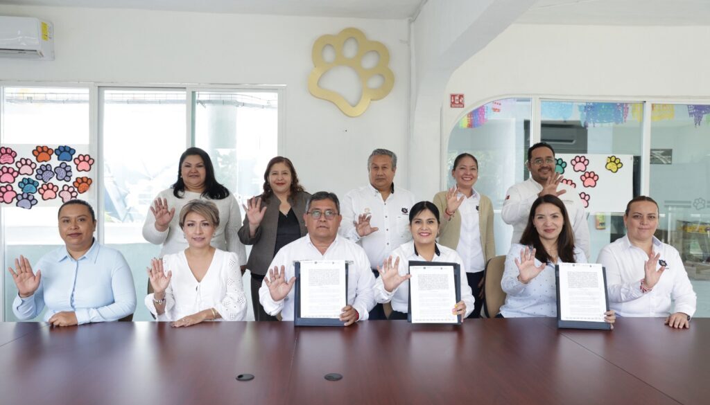 Imagen de WhatsApp 2025-11-04 a las 13.30.04_c41f7303