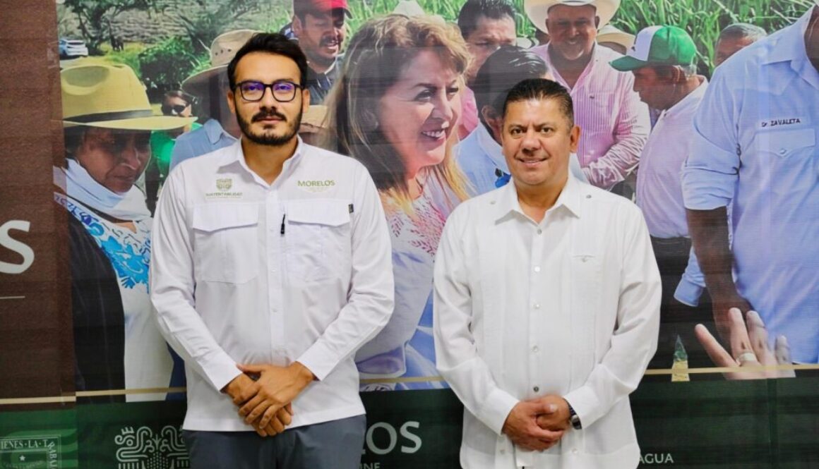 Imagen de WhatsApp 2025-11-06 a las 12.50.36_35aee406