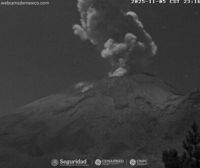 Imagen de WhatsApp 2025-11-06 a las 13.06.26_59a224b9