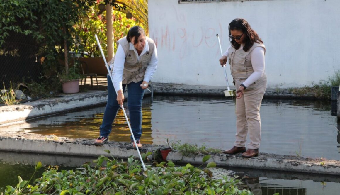 Imagen de WhatsApp 2025-11-06 a las 14.55.25_777f4d4b