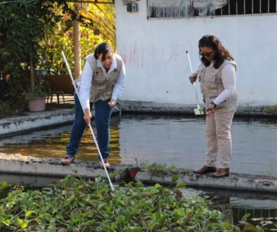 Imagen de WhatsApp 2025-11-06 a las 14.55.25_777f4d4b