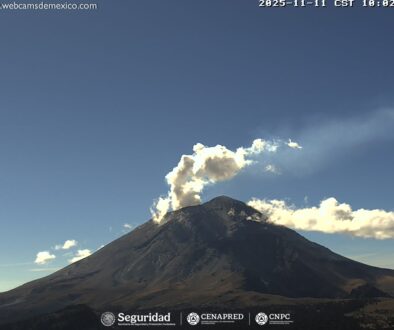 Imagen de WhatsApp 2025-11-11 a las 11.50.27_63a303a0