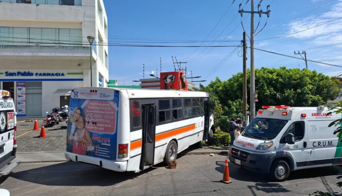 Imagen de WhatsApp 2025-11-12 a las 12.49.41_1b5bab27