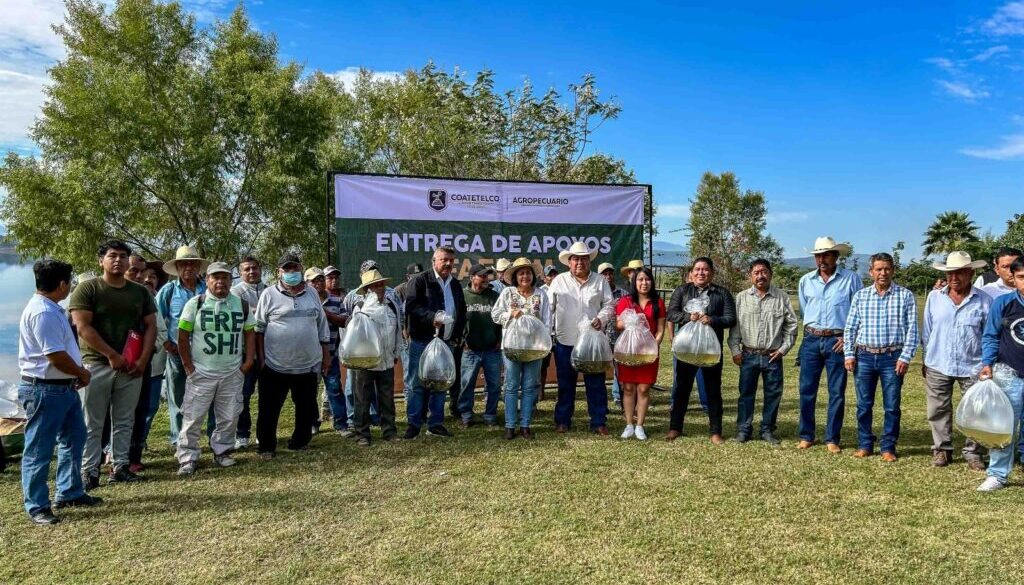 Imagen de WhatsApp 2025-11-13 a las 17.25.24_02c2902b