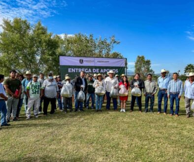 Imagen de WhatsApp 2025-11-13 a las 17.25.24_02c2902b