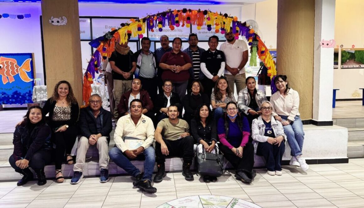 Imagen de WhatsApp 2025-11-13 a las 17.30.18_6ea22baa