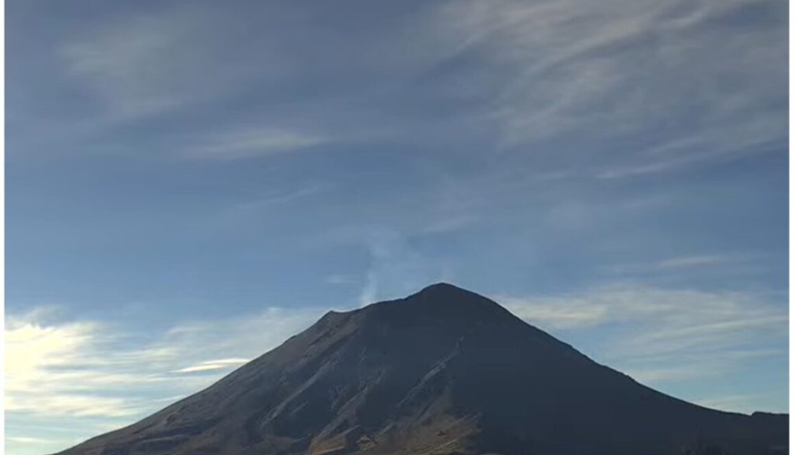 Imagen de WhatsApp 2025-11-14 a las 11.50.22_713e383c