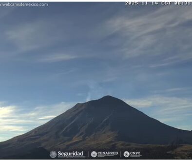 Imagen de WhatsApp 2025-11-14 a las 11.50.22_713e383c