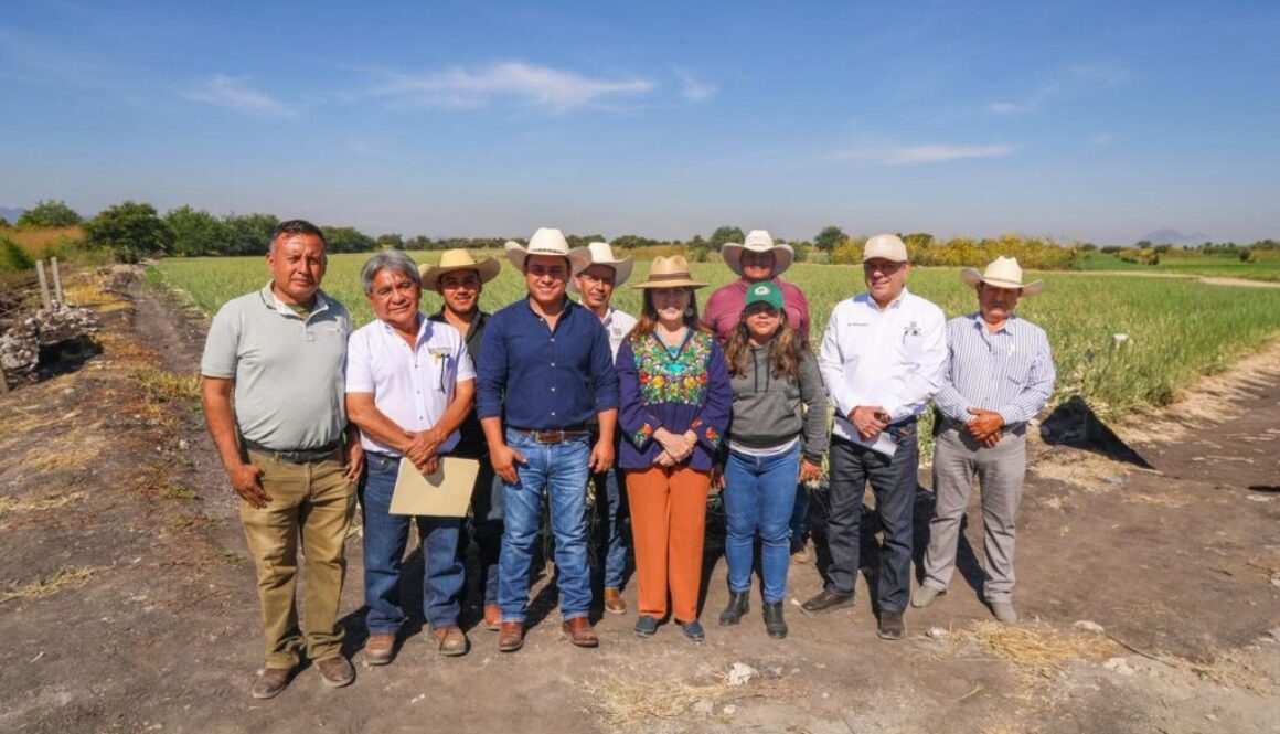 Imagen de WhatsApp 2025-11-14 a las 13.10.12_41f13f14