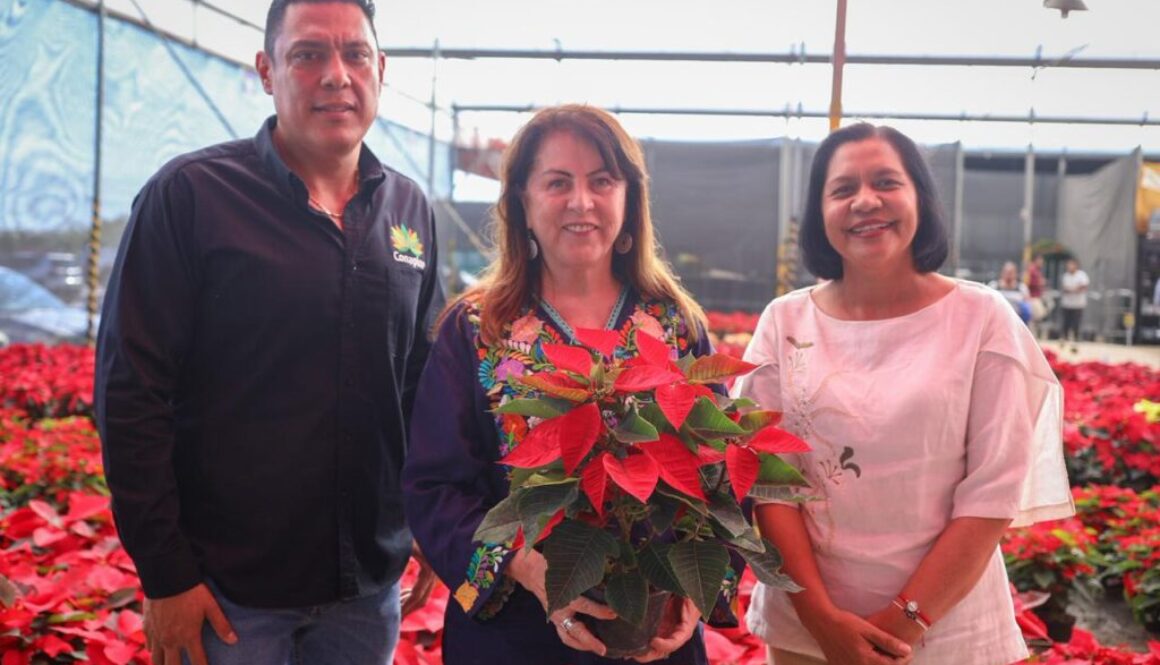 Imagen de WhatsApp 2025-11-14 a las 16.05.44_ca8593c4