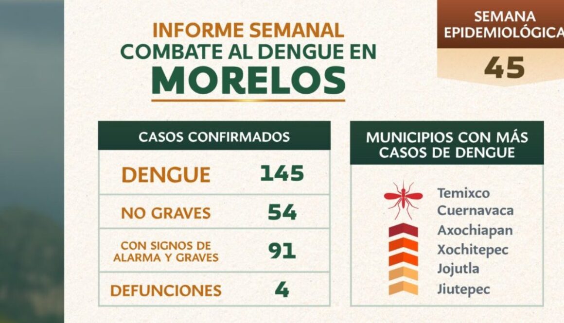 Imagen de WhatsApp 2025-11-15 a las 11.31.34_db410655