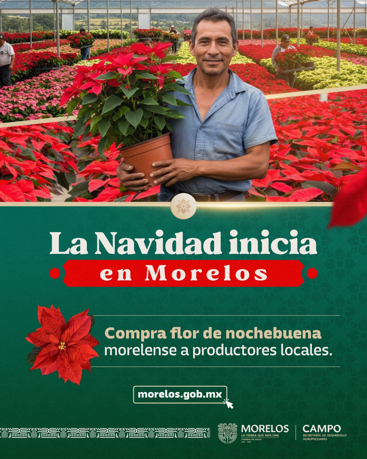 IMPULSA EL GOBIERNO DE LA TIERRA QUE NOS UNE UNA INTENSA PROMOCIÓN PARA LA VENTA DE FLOR NOCHEBUENA RUMBO A LA TEMPORADA DECEMBRINA