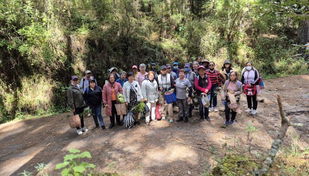 Imagen de WhatsApp 2025-11-19 a las 13.00.15_b503e86c