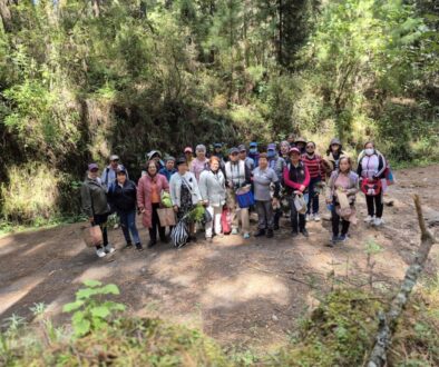 Imagen de WhatsApp 2025-11-19 a las 13.00.15_b503e86c