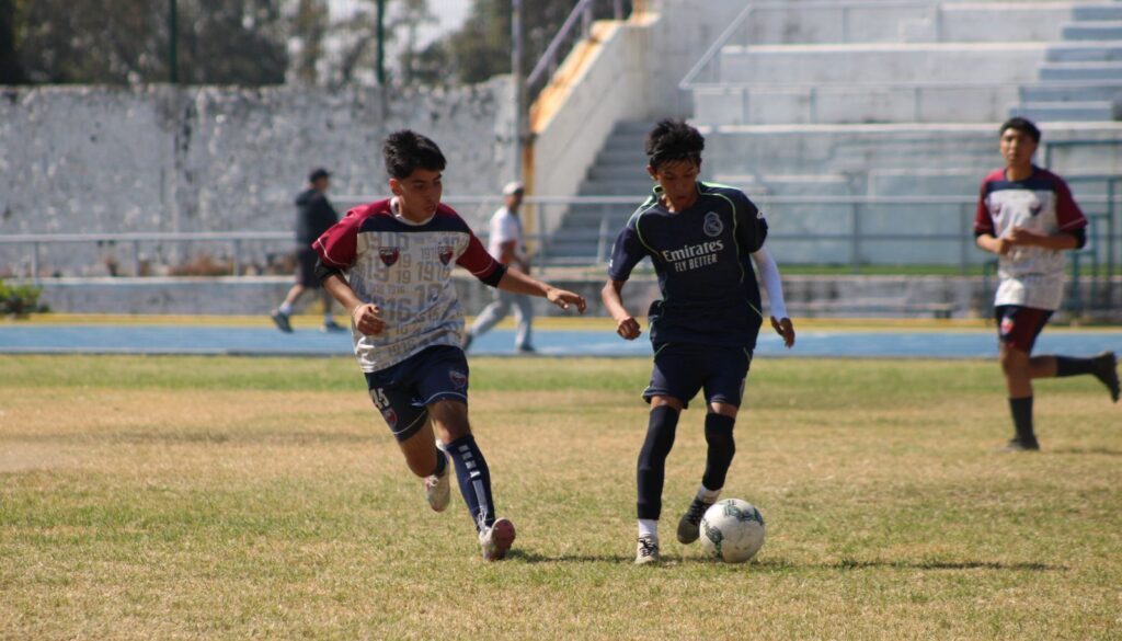 Imagen de WhatsApp 2025-11-19 a las 15.56.16_1f481bbc