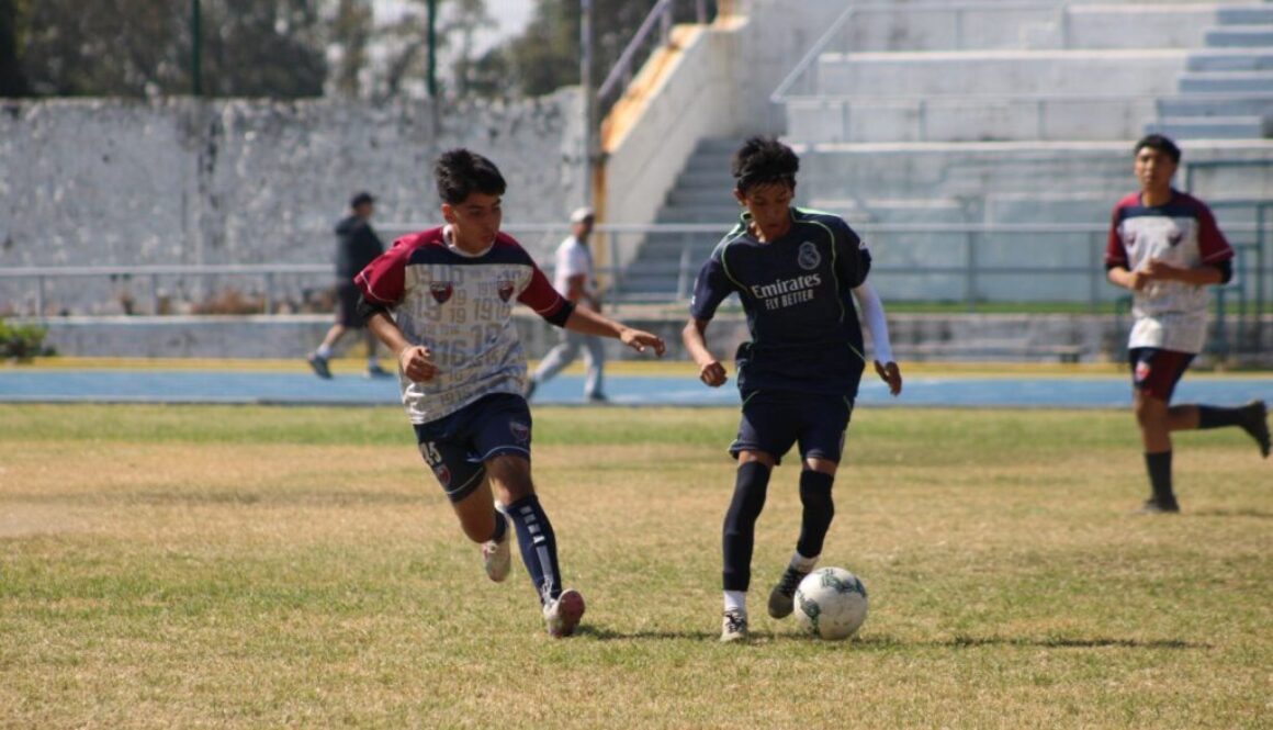 Imagen de WhatsApp 2025-11-19 a las 15.56.16_1f481bbc