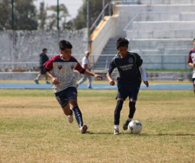 Imagen de WhatsApp 2025-11-19 a las 15.56.16_1f481bbc