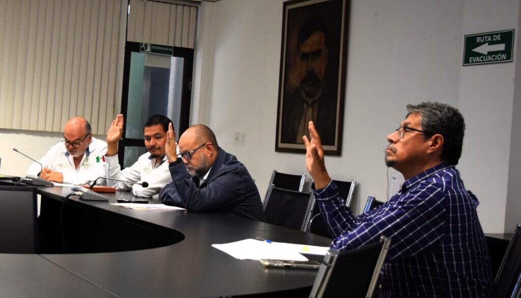 Imagen de WhatsApp 2025-11-20 a las 15.15.36_eaad854f