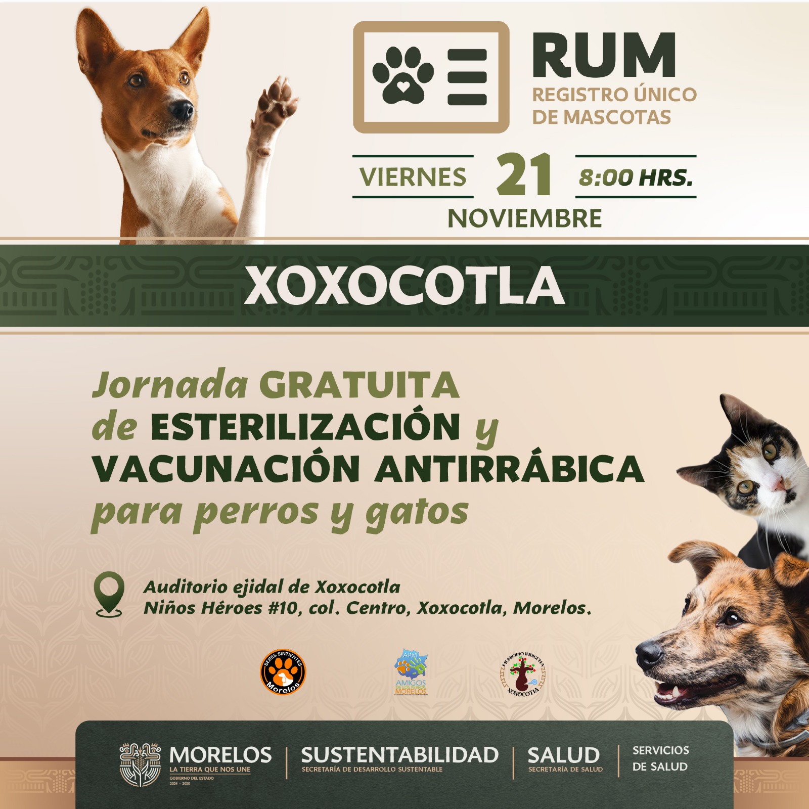 INVITA GOBIERNO DE MORELOS AL REGISTRO ÚNICO DE MASCOTAS EN XOXOCOTLA