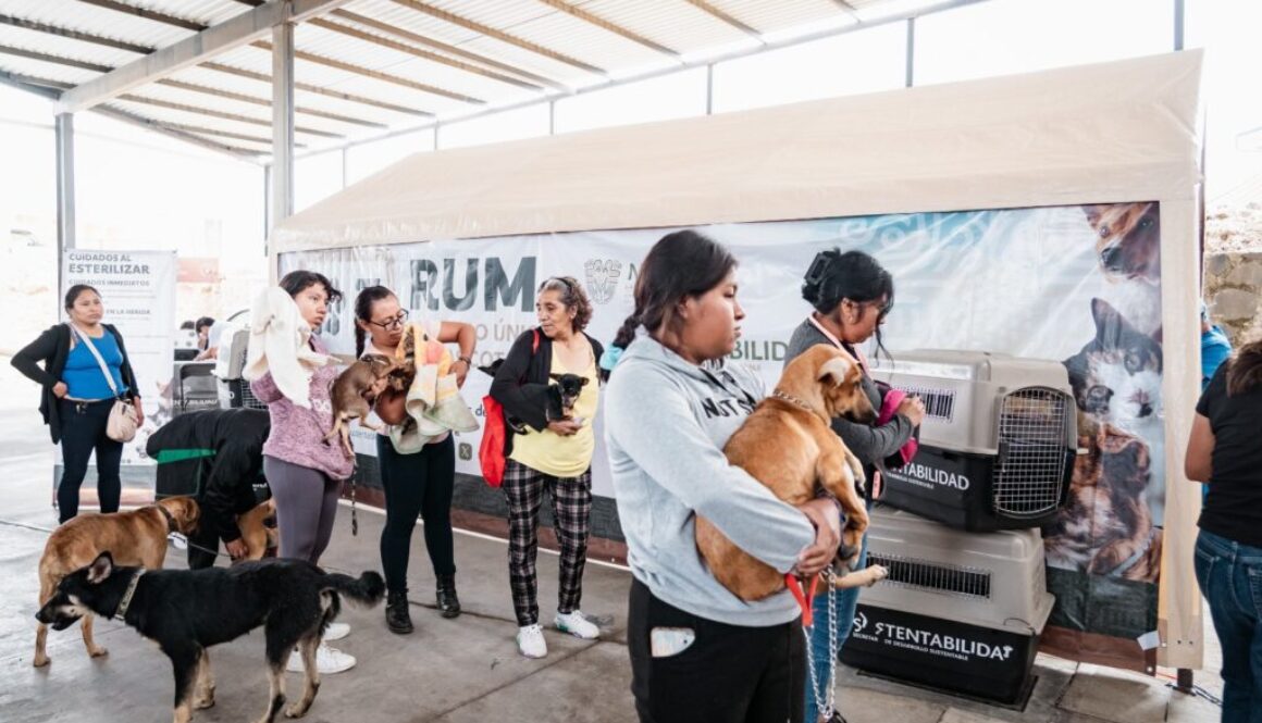 Imagen de WhatsApp 2025-11-20 a las 15.35.36_a741ce21