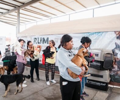 Imagen de WhatsApp 2025-11-20 a las 15.35.36_a741ce21